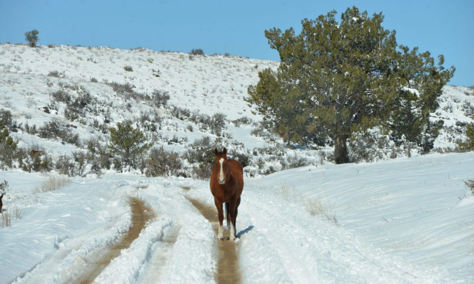 Blackhawk POA "Incredible Properties Beyond Compare"